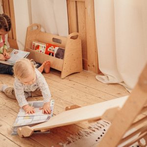 Montessori Bookshelf Empowering Young Minds with a Love for Reading