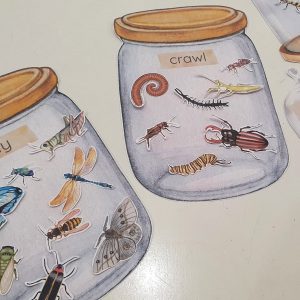 Montessori Insect Sorting and Matching Game Explore the World of Bugs