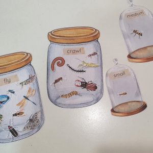Montessori Insect Sorting and Matching Game Explore the World of Bugs