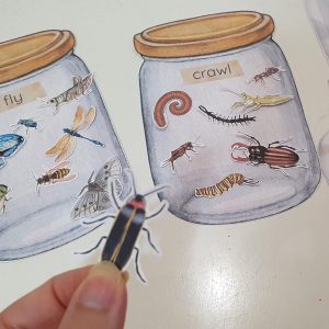 Montessori Insect Sorting and Matching Game Explore the World of Bugs