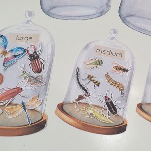 Montessori Insect Sorting and Matching Game Explore the World of Bugs