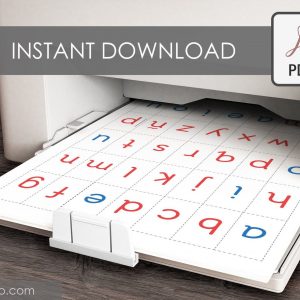 Montessori Movable Alphabet Empowering Literacy Through Hands-On Learning