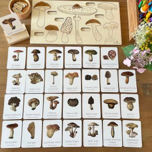 Montessori Mushroom Flashcards Unveil the Wonders of Nature for Early Learners