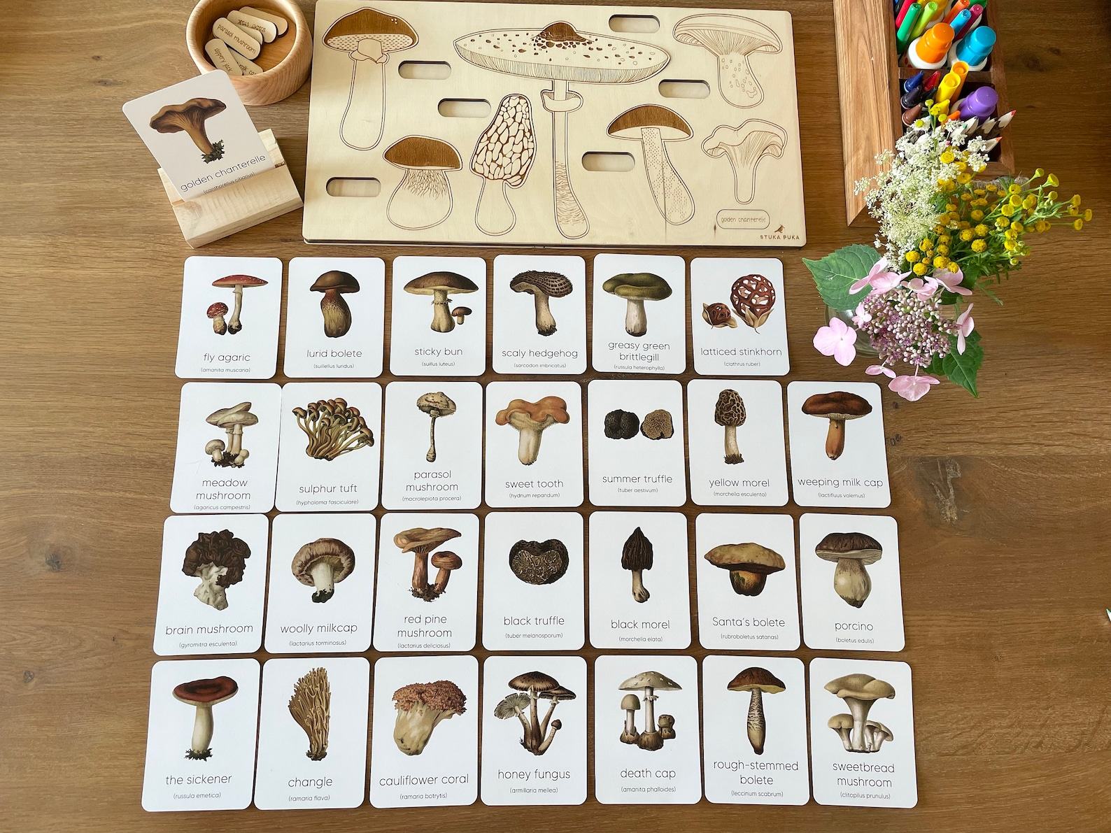 Montessori Mushroom Flashcards Unveil the Wonders of Nature for Early Learners - Image 3