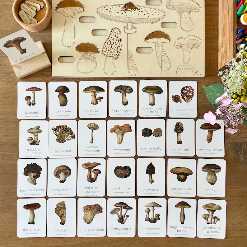 Montessori Mushroom Flashcards Unveil the Wonders of Nature for Early Learners