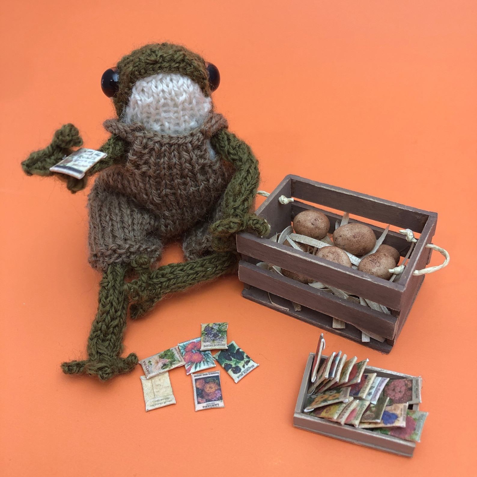 Mr. Hopper the Knitted Frog A Hoppy Companion for All Ages