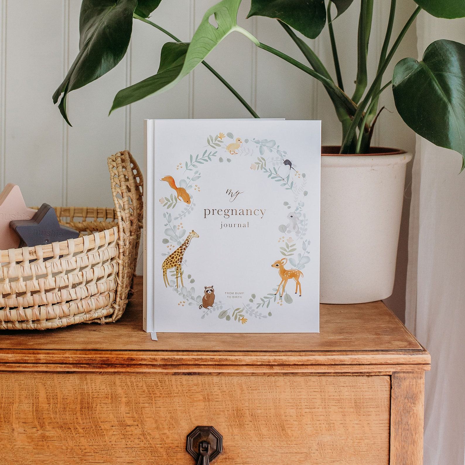 My Pregnancy Journal A Cherished Keepsake for Expectant Mothers
