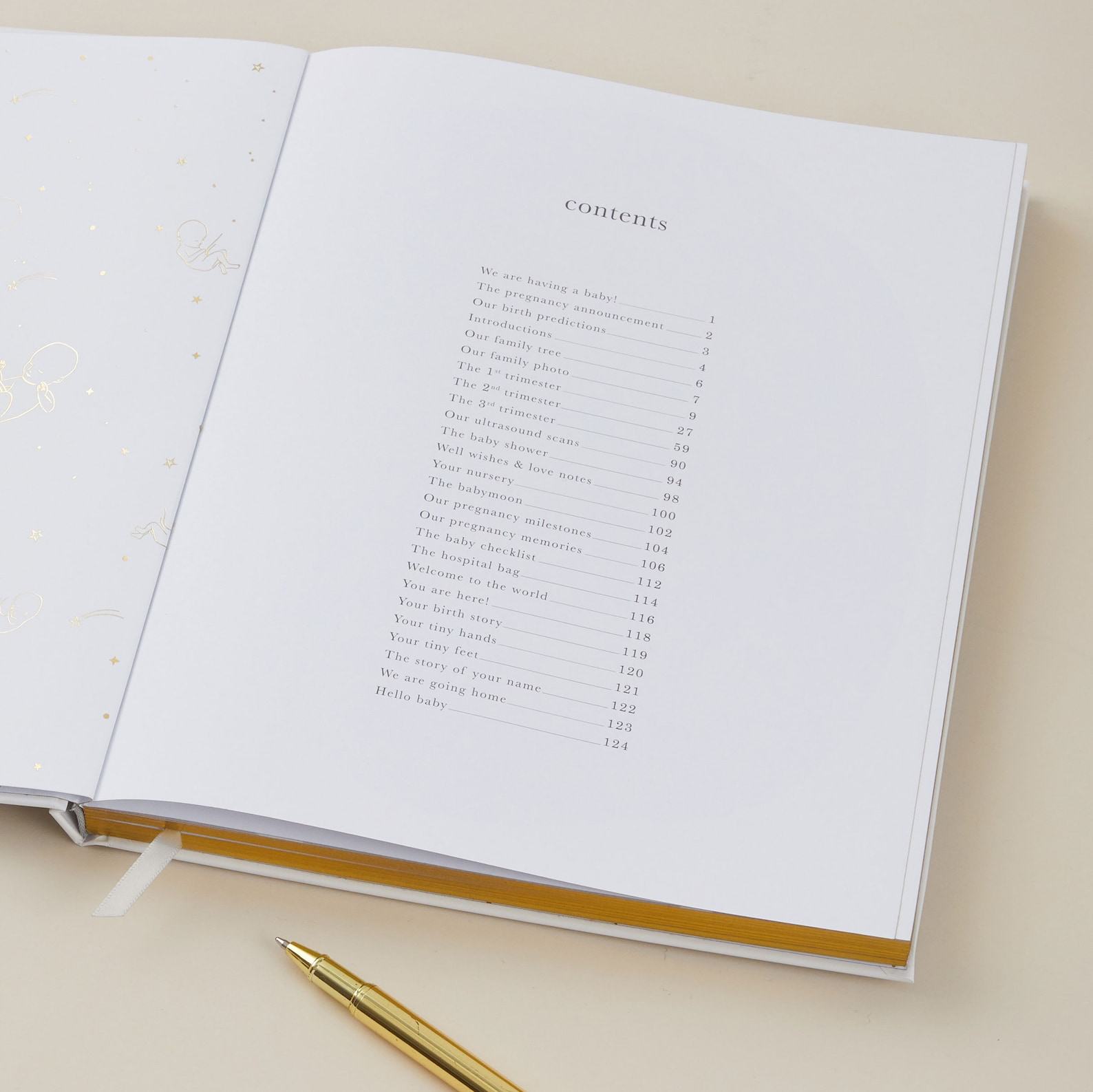 My Pregnancy Journal A Cherished Keepsake for Expectant Mothers