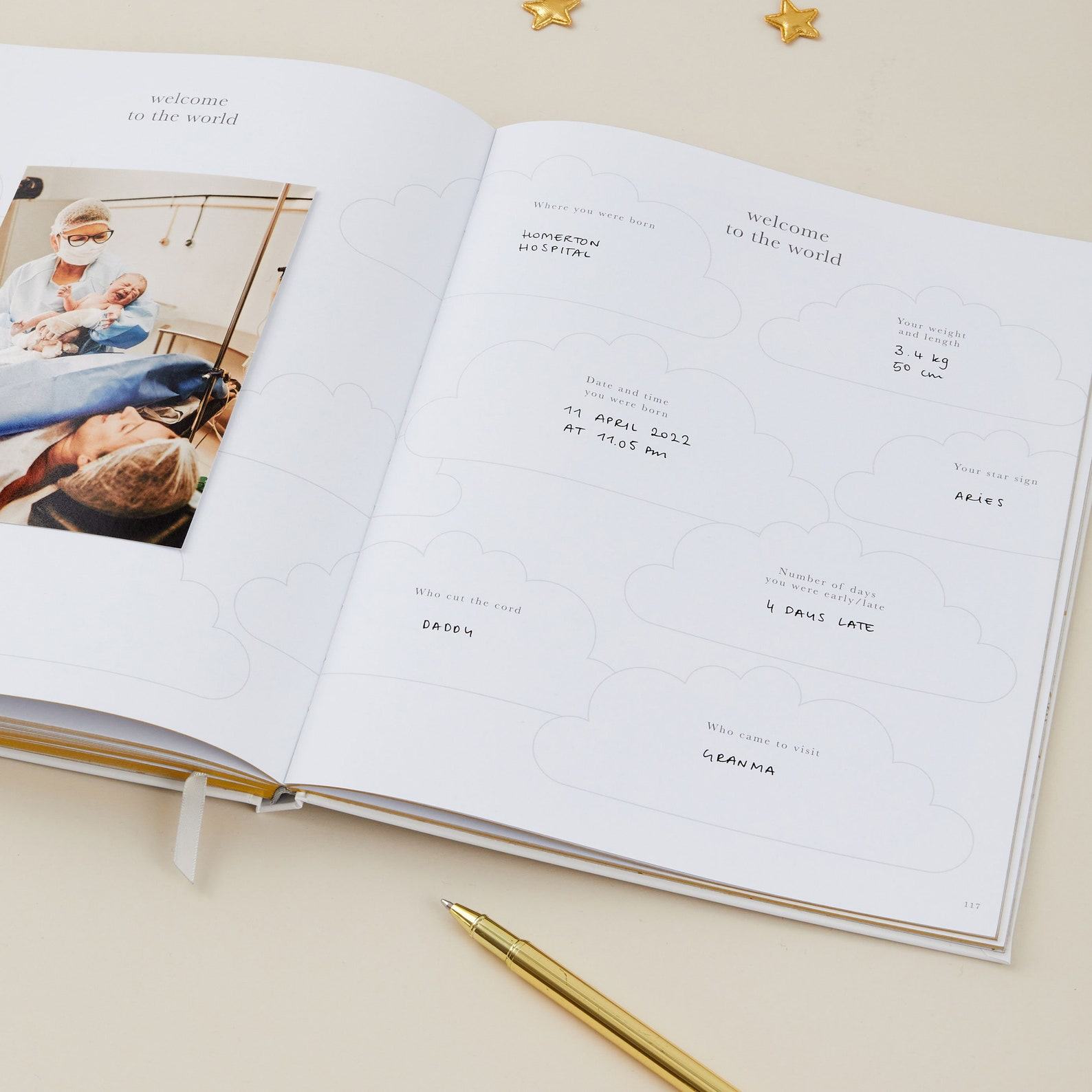 My Pregnancy Journal A Cherished Keepsake for Expectant Mothers