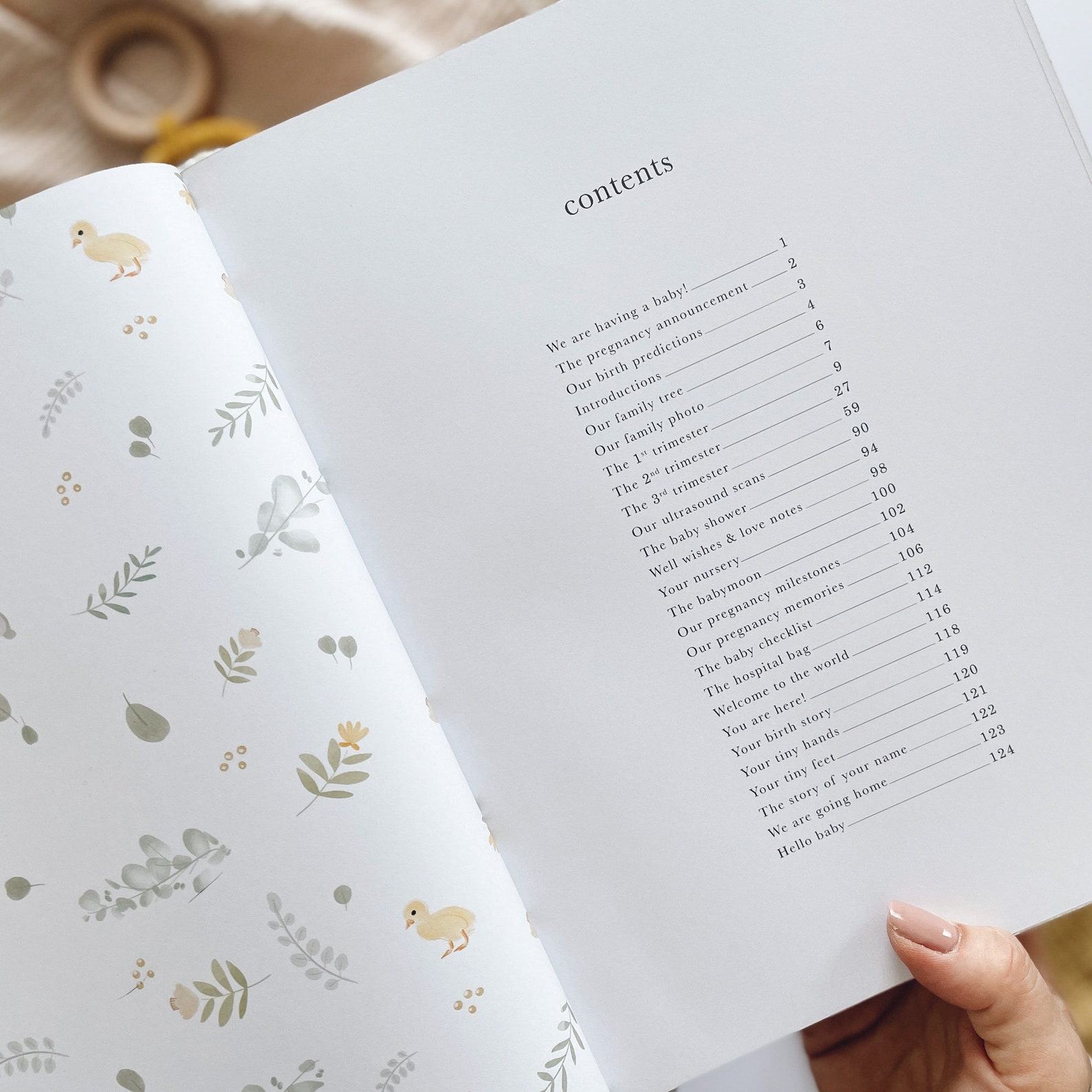 My Pregnancy Journal A Cherished Keepsake for Expectant Mothers