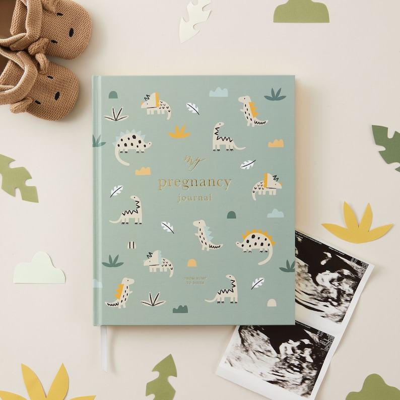 My Pregnancy Journal A Dino-mite Journey for Expectant Parents