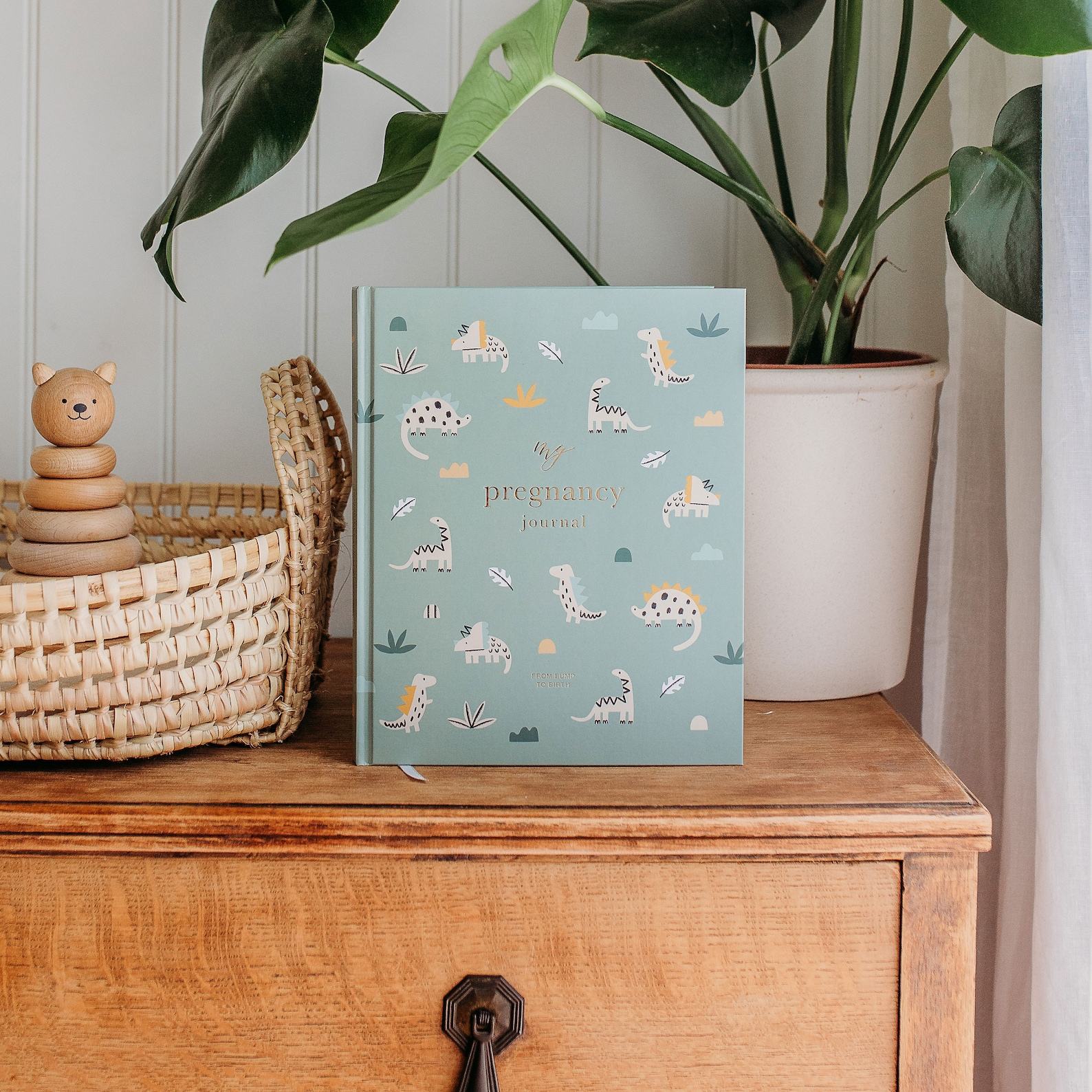 My Pregnancy Journal A Dino-mite Journey for Expectant Parents