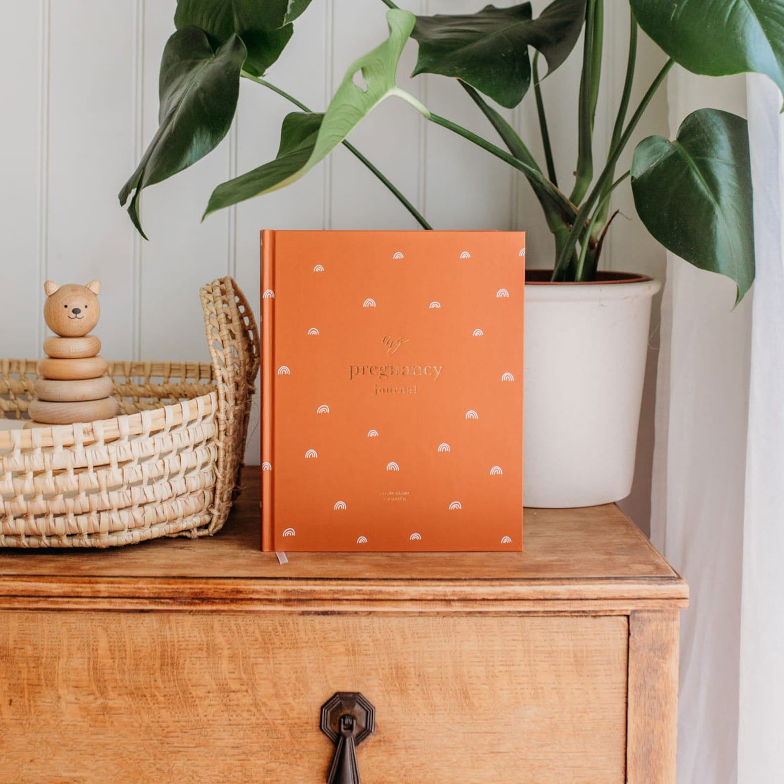 My Pregnancy Journal A Rainbow of Memories for Expectant Parents