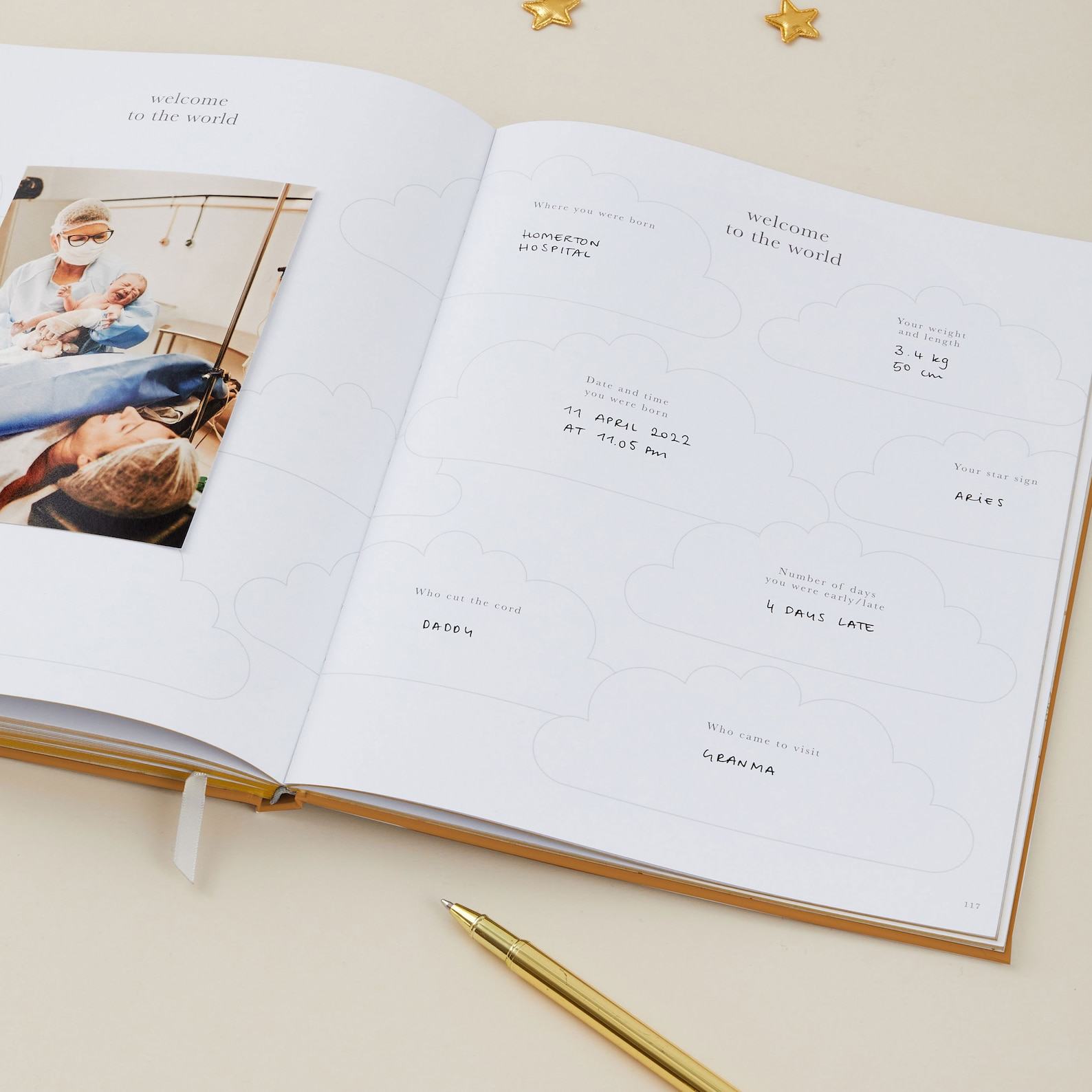 My Pregnancy Journal A Rainbow of Memories for Expectant Parents