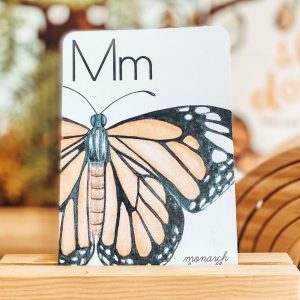 Nature’s ABCs Digital Flashcards for Nature-Loving Learners