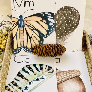 Nature’s ABCs Digital Flashcards for Nature-Loving Learners