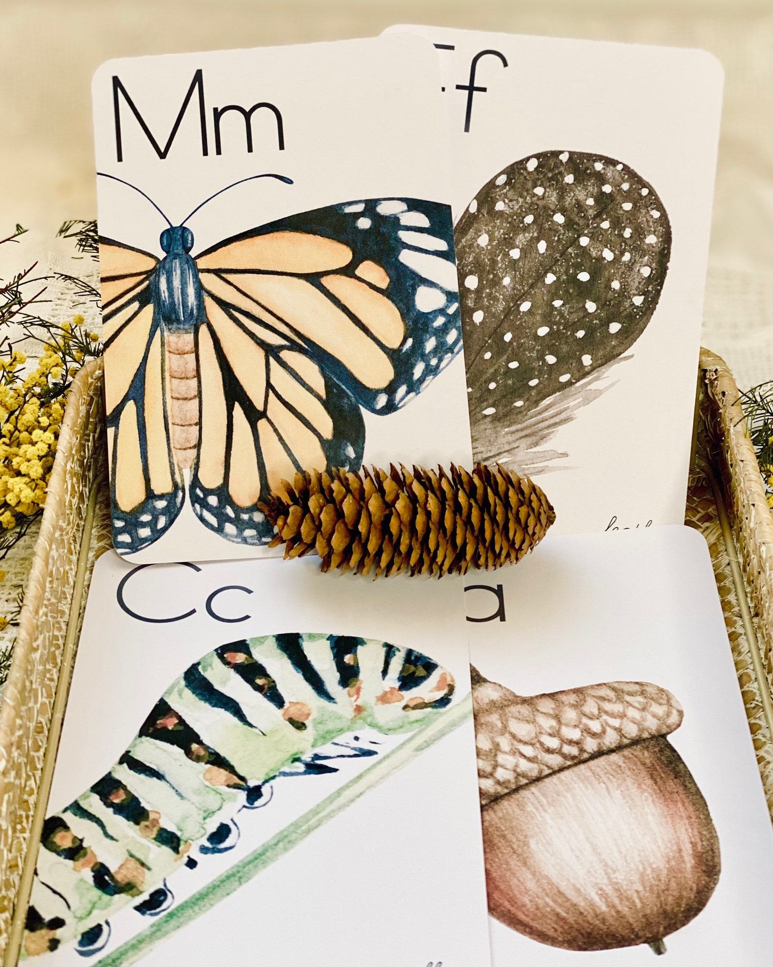 Nature’s ABCs Digital Flashcards for Nature-Loving Learners - Image 4