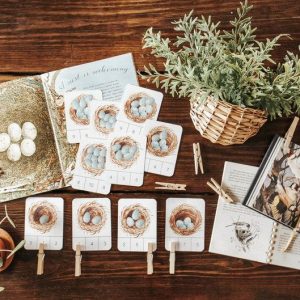 Nest and Eggs Count and Clip Cards Montessori-Inspired Learning for Nature-Loving Kids