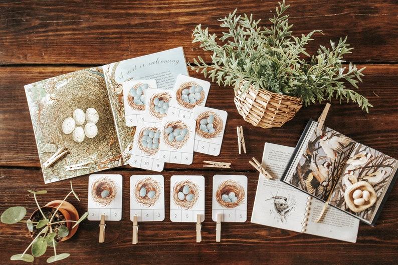 Nest and Eggs Count and Clip Cards Montessori-Inspired Learning for Nature-Loving Kids