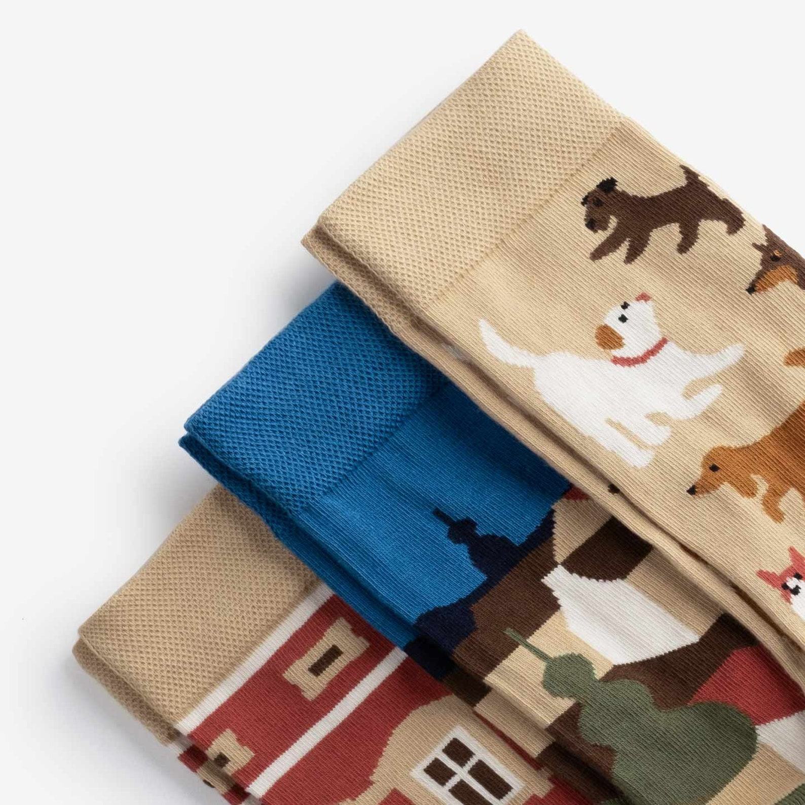 Old Town 3-Pack Vibrant Socks for Men and Women | Interesting  Item Idea