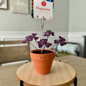 Oxalis Triangularis The Purple Shamrock Photo Stand – A Unique Handcrafted Plant Decor