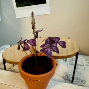 Oxalis Triangularis The Purple Shamrock Photo Stand – A Unique Handcrafted Plant Decor