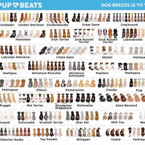 Paw-fect Sip Capture Your Dog Mom Magic in Every Mug