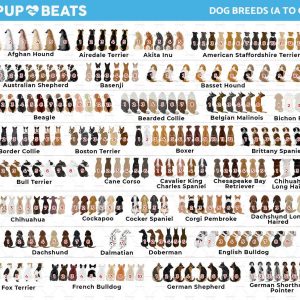 Paw-fect Sip Capture Your Dog Mom Magic in Every Mug