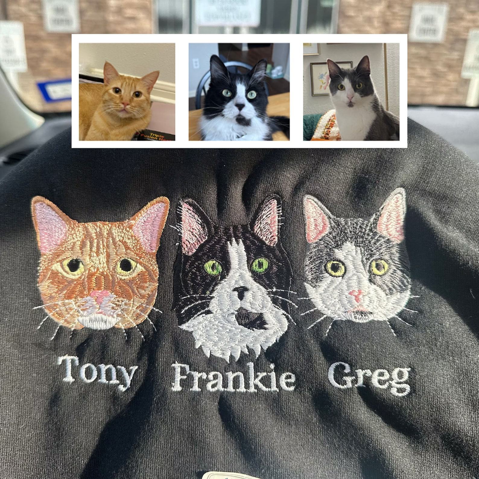 Personalized Cat Sweatshirt Embroidered Cat Face with Name, Custom Photo Hoodie for Cat Lovers