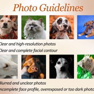 Personalized Embroidered Pet Portrait Sweatshirt Capture Your Furry Friend’s Charm