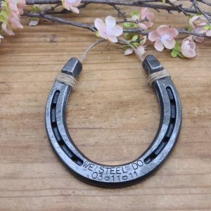 Personalized Horseshoe A Timeless Symbol of Love and Luck for Your 11th Anniversary