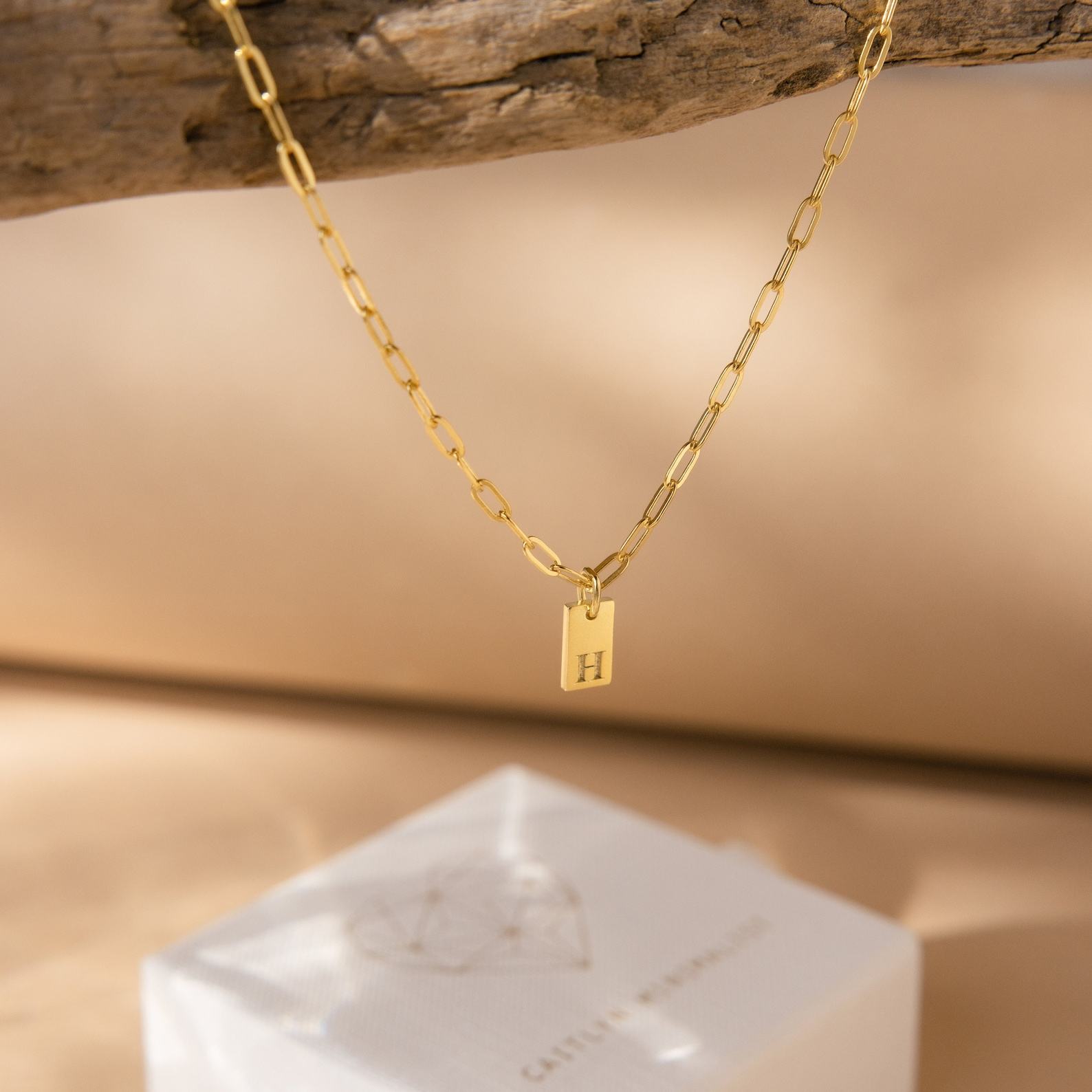 Personalized Paperclip Chain Necklace with Initial Charm A Timeless Item for Mom (NM115bNIF33)