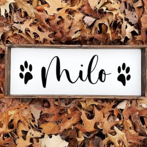 Personalized Pet Haven Custom Signs for Your Furry Friends