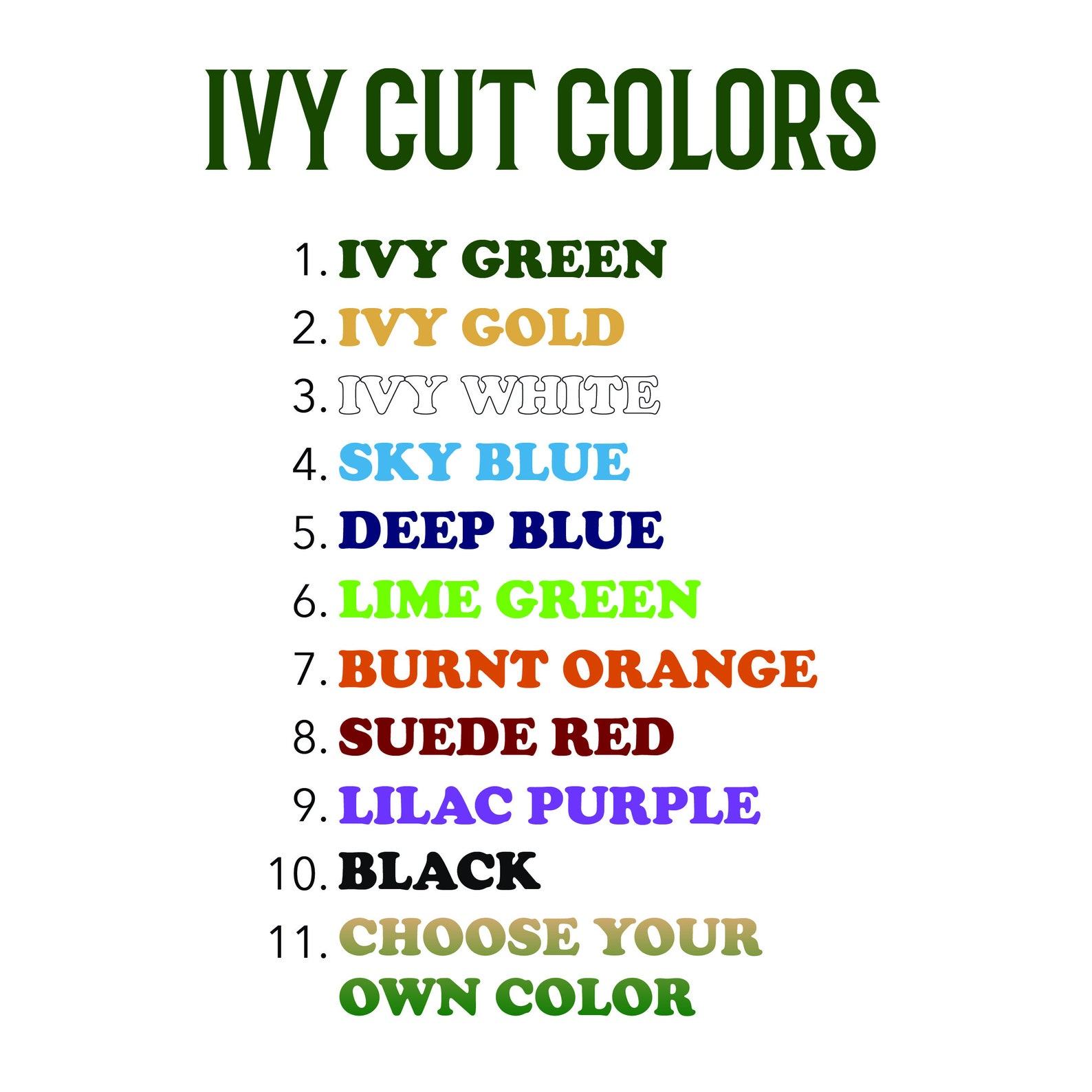 Personalized Pickleball Paddle Elevate Your Game with a Custom Design