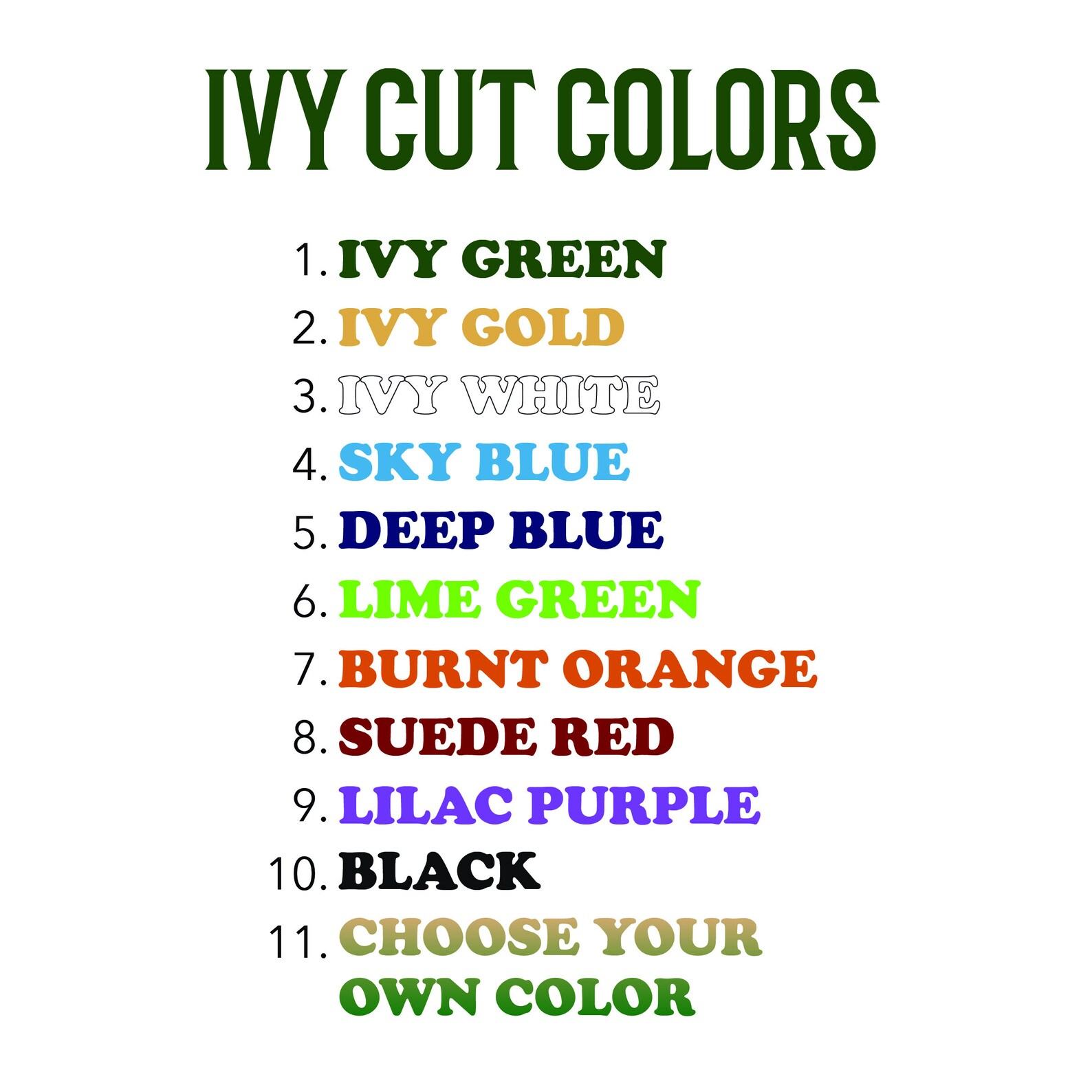 Personalized Pickleball Paddle Turquoise Blue Premium Item for Pickleball Enthusiasts