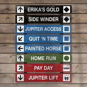 Personalized Ski Trail Signs Vintage Lodge Charm for Your Rustic Retreat
