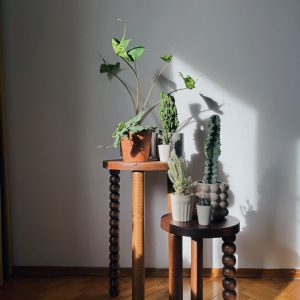 Piloti Side Table Elevate Your Home’s Ambiance with Modern Minimalism