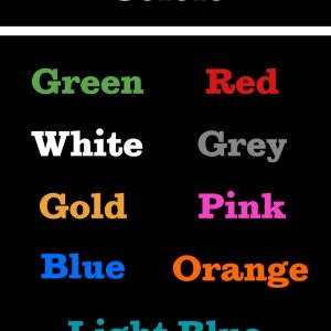 Protect Your Pickleball Paddle Durable, Custom-Designed Cover