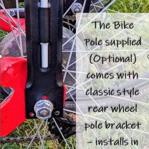 Rainbow Visibility Flag Illuminate Your Ride, Enhance Safety