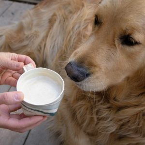 Reverie Handcrafted Ceramic Mug for Moments of Reflection and Tranquility