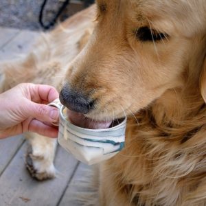 Reverie Handcrafted Ceramic Mug for Moments of Reflection and Tranquility