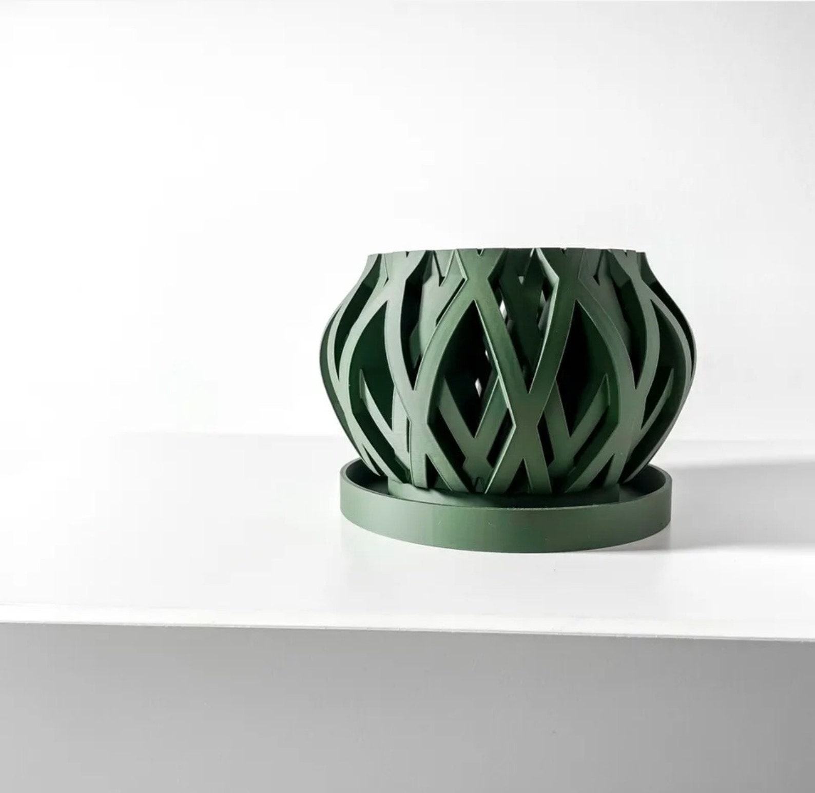 RIMO The Eco-Haven for Your Indoor Oasis | Sustainable Planter for Succulents, Cacti, and Air Plants - Image 4