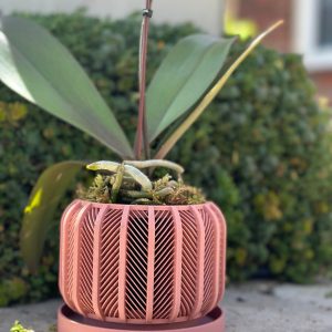 RODEX Orchid Planter Modern 3D Printed Indoor Pot for Succulents, Cacti, and Monstera (3″-7.4″)