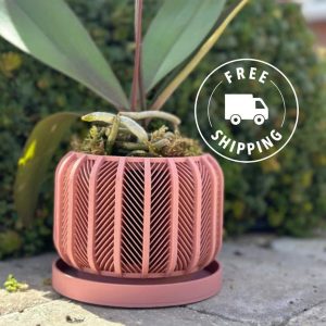 RODEX Orchid Planter Modern 3D Printed Indoor Pot for Succulents, Cacti, and Monstera (3″-7.4″)