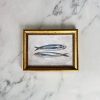 Sardines II Captivating Oil Painting Print for Culinary Ambiance
