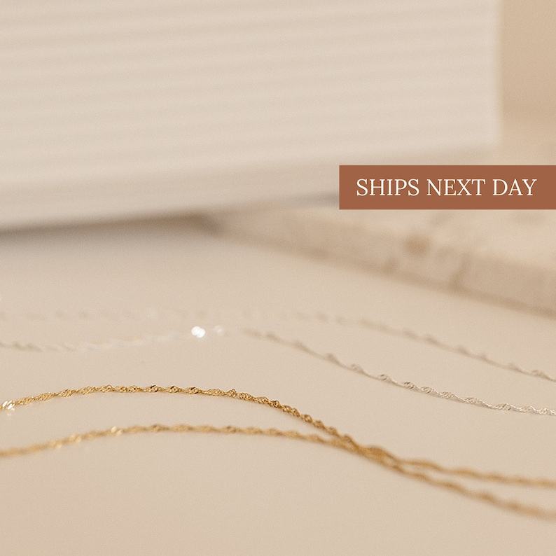 Singapore Necklace Minimalist Layering Necklace in Gold and Sterling Silver by Caitlyn Minimalist (NR021)