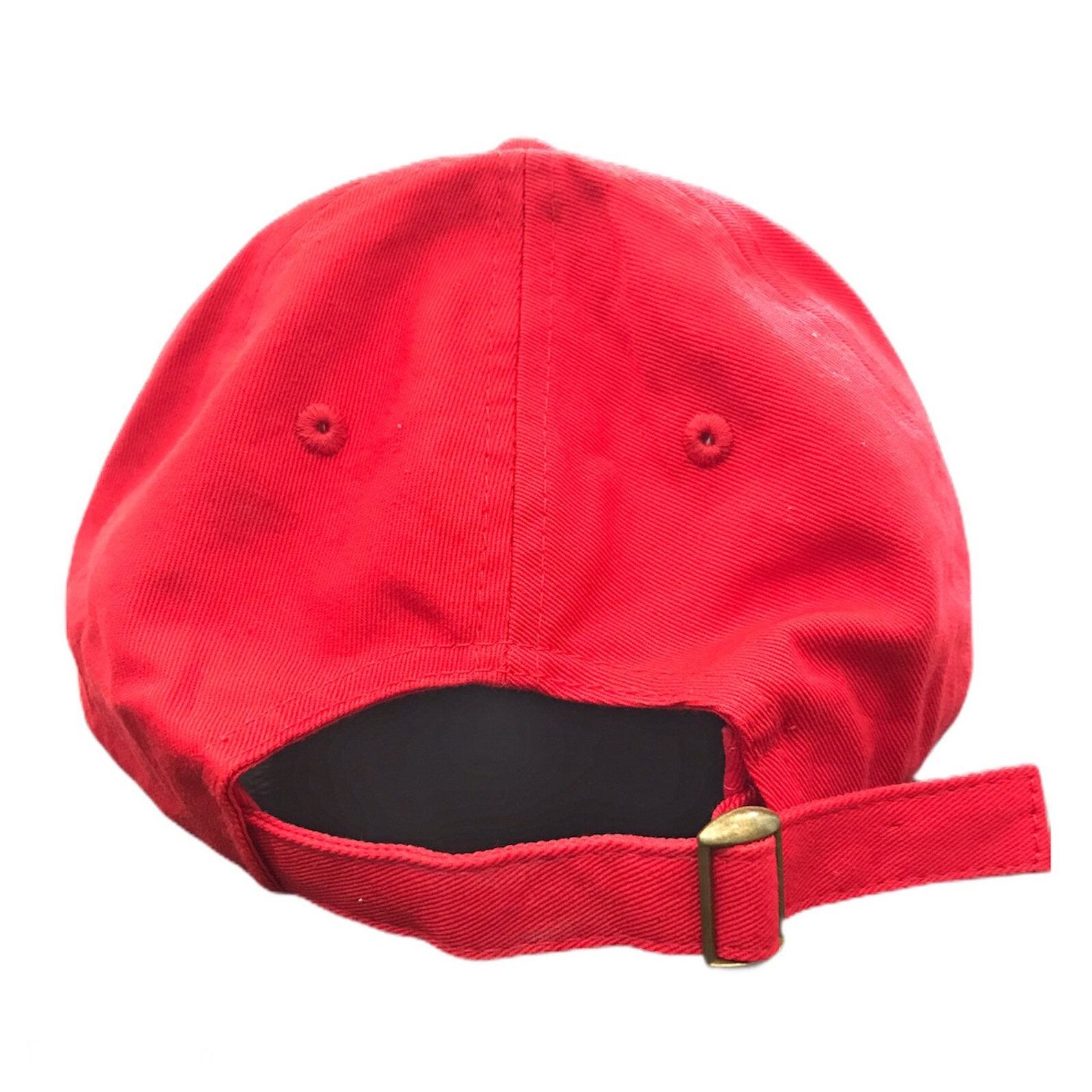 Stand in Solidarity Embroidered Black Lives Matter Dad Cap for Empowerment