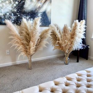 TALL PAMPAS GRASS 2-4ft | Elevate Your Home and Events with Boho Elegance