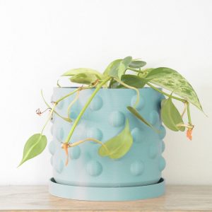 The Dot Pot Teal Delight for Your Home Decor