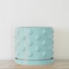 The Dot Pot Teal Delight for Your Home Decor